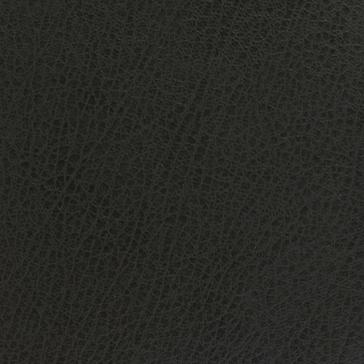 Kravet Basics - Celine-21 - KRAVET BASICS Fabric