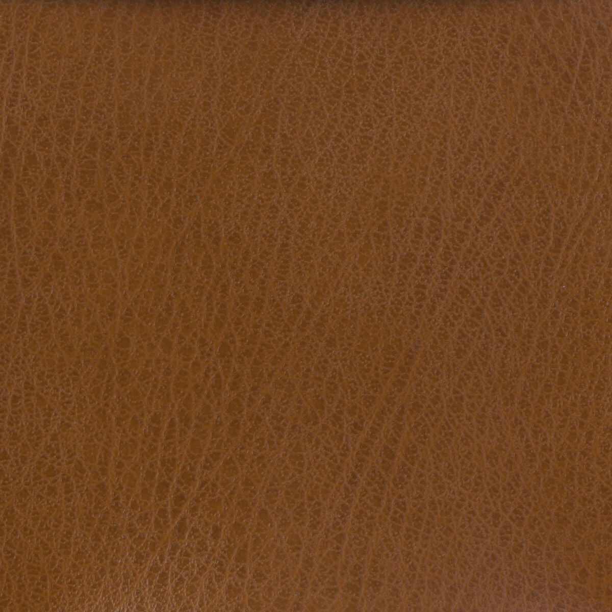 Kravet Basics - Celine-6 - Kravet Basics Fabric