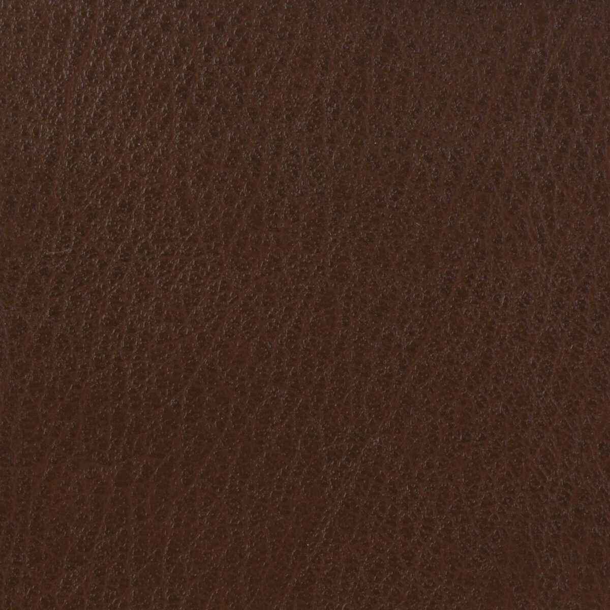 Celine6160 Kravet Basics Celine 616 Kravet Basics Fabric