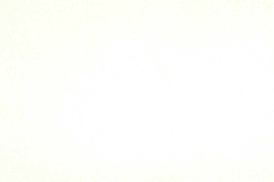 Atomic Fr - Paper White - Scalamandre Fabric