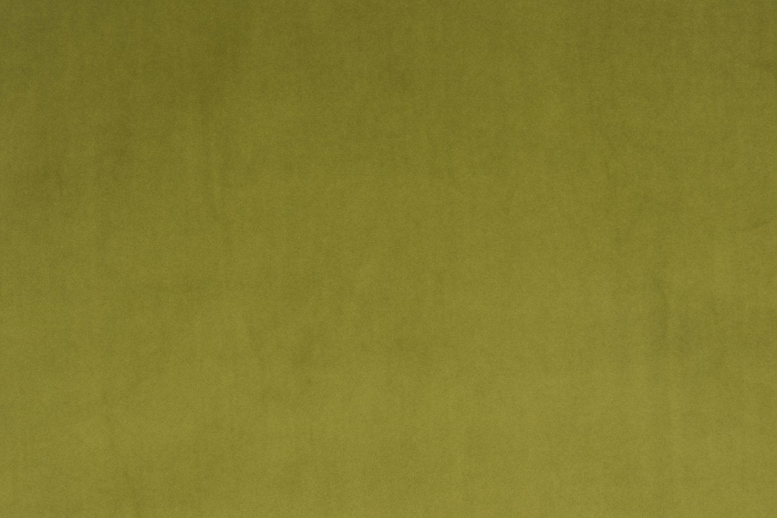 Vip - Olive - Scalamandre Fabric