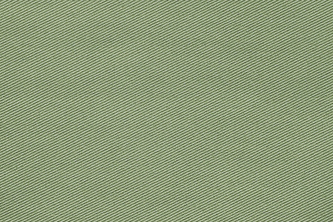 Kay Ii - Asparagus - Scalamandre Fabric