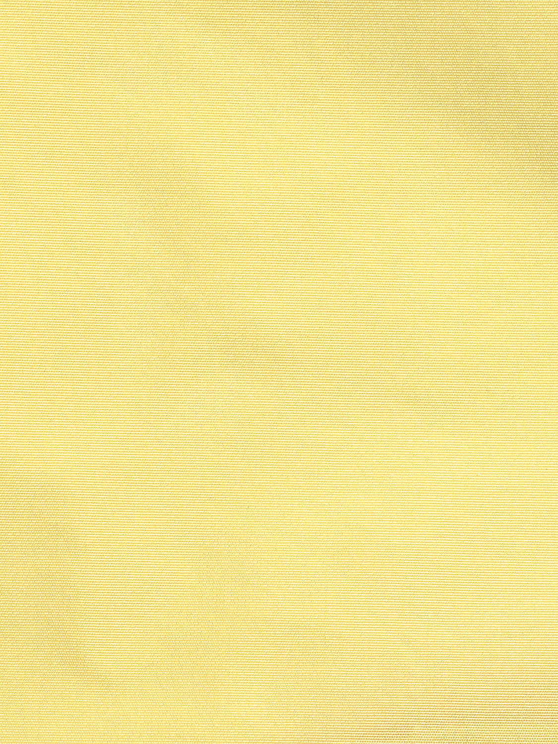 Taffeta Bs - Sunflower