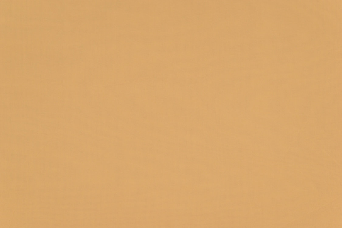 Madrid Cs Iv - Melon - Scalamandre Fabric