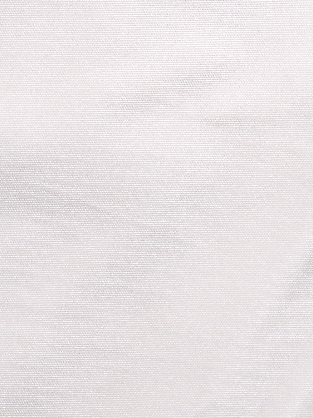 Taffeta Bs - Platinum - Scalamandre Fabric
