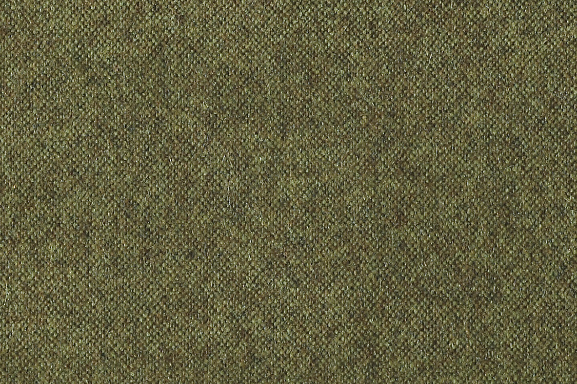 Polaris - Moss