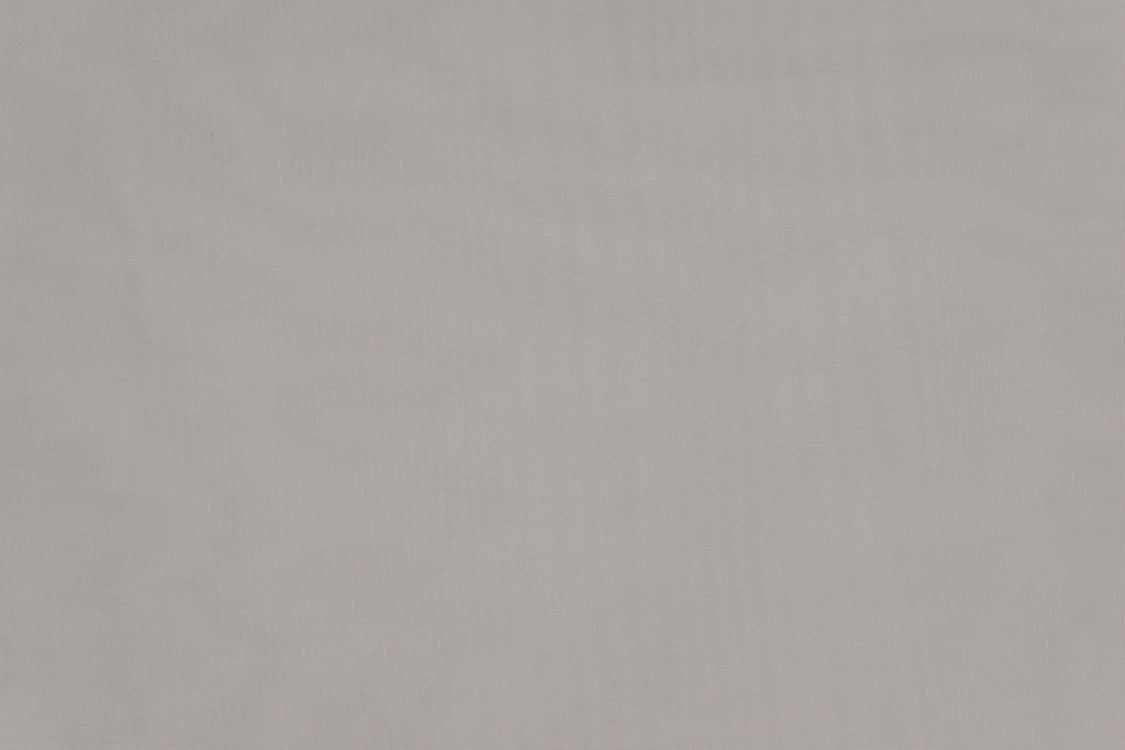 Madrid Cs Iv - Silver Gray - Scalamandre Fabric