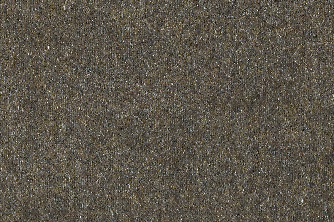 Polaris - Brazilnut