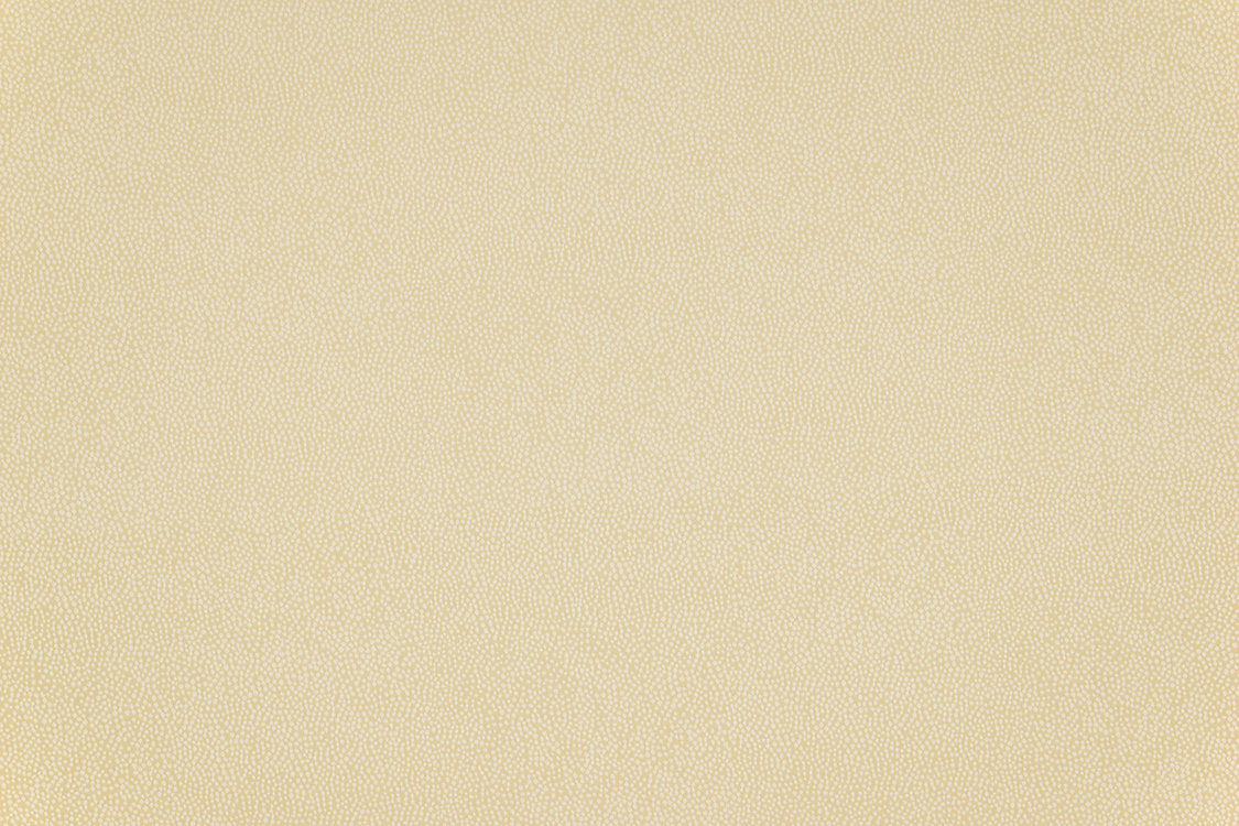 Phoenix Dot - Ivory - Scalamandre Fabric