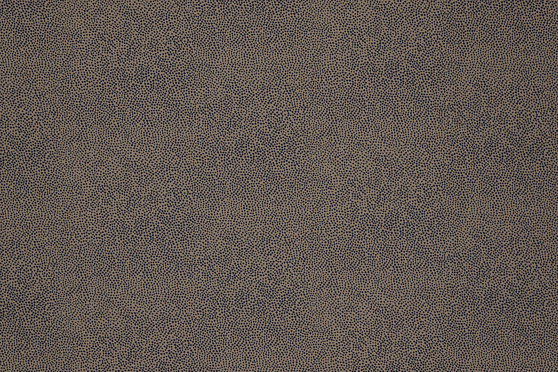 Phoenix Dot - Navy