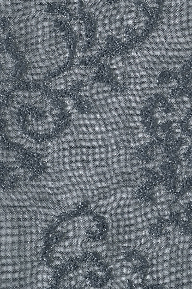 Ricciolino - Graphite