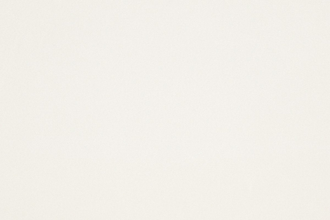 Superb - Paper White - Scalamandre Fabric