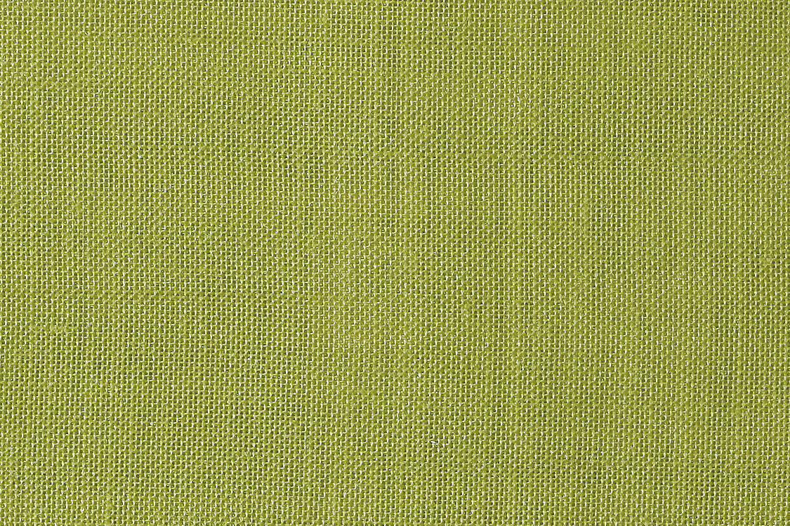 Alsara - Kiwi