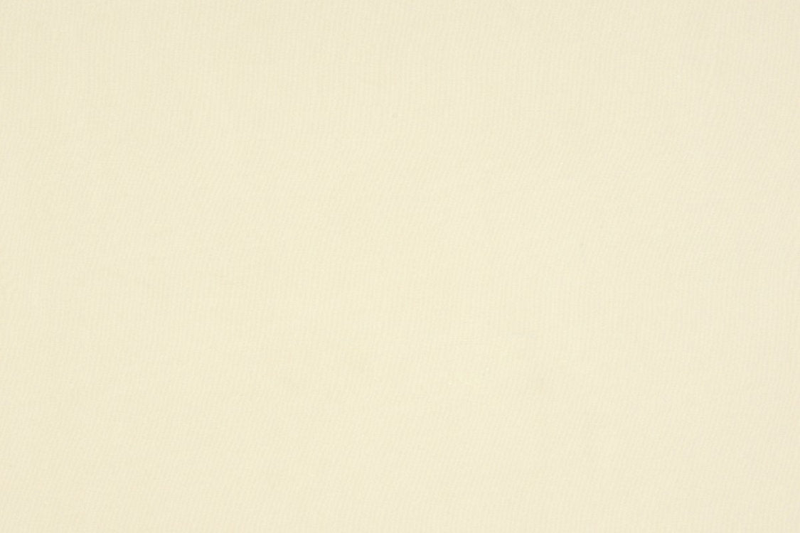 Absolut - Cream - Scalamandre Fabric