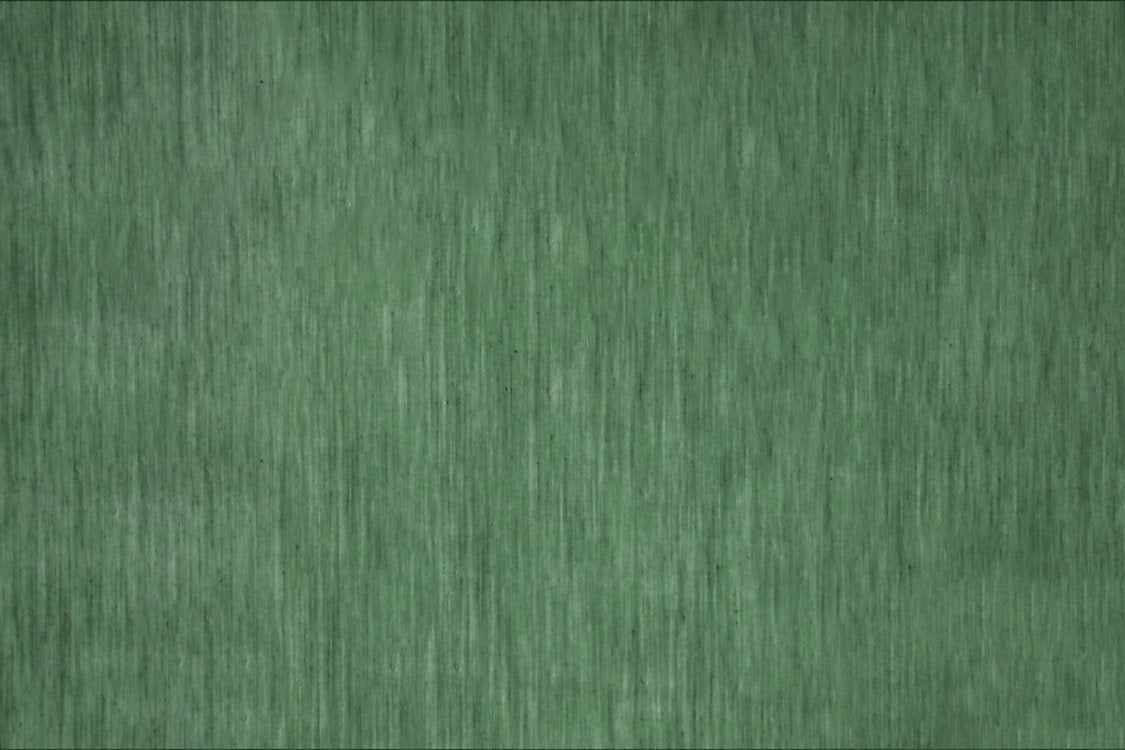 Altubic - Evergreen - Scalamandre Fabric