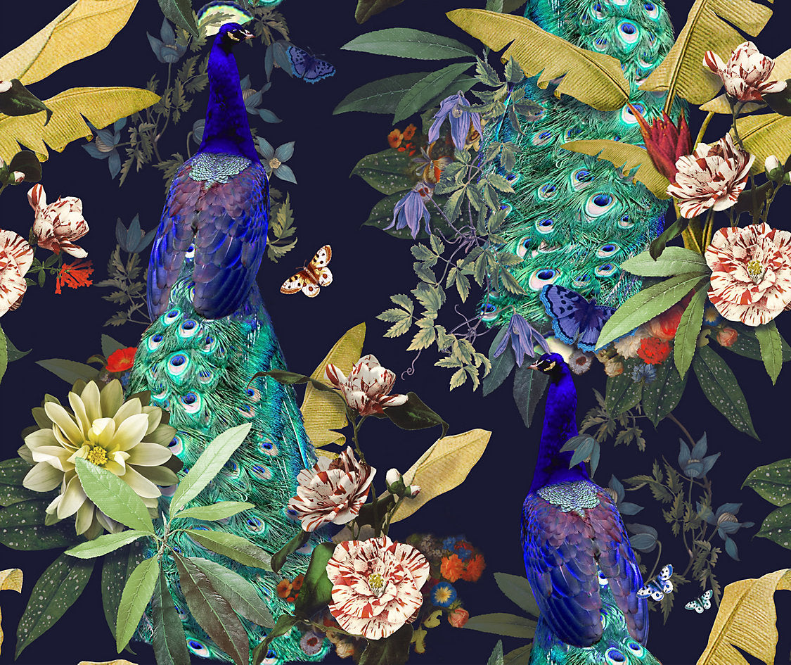 Peacock Society Warp Print - Peacock