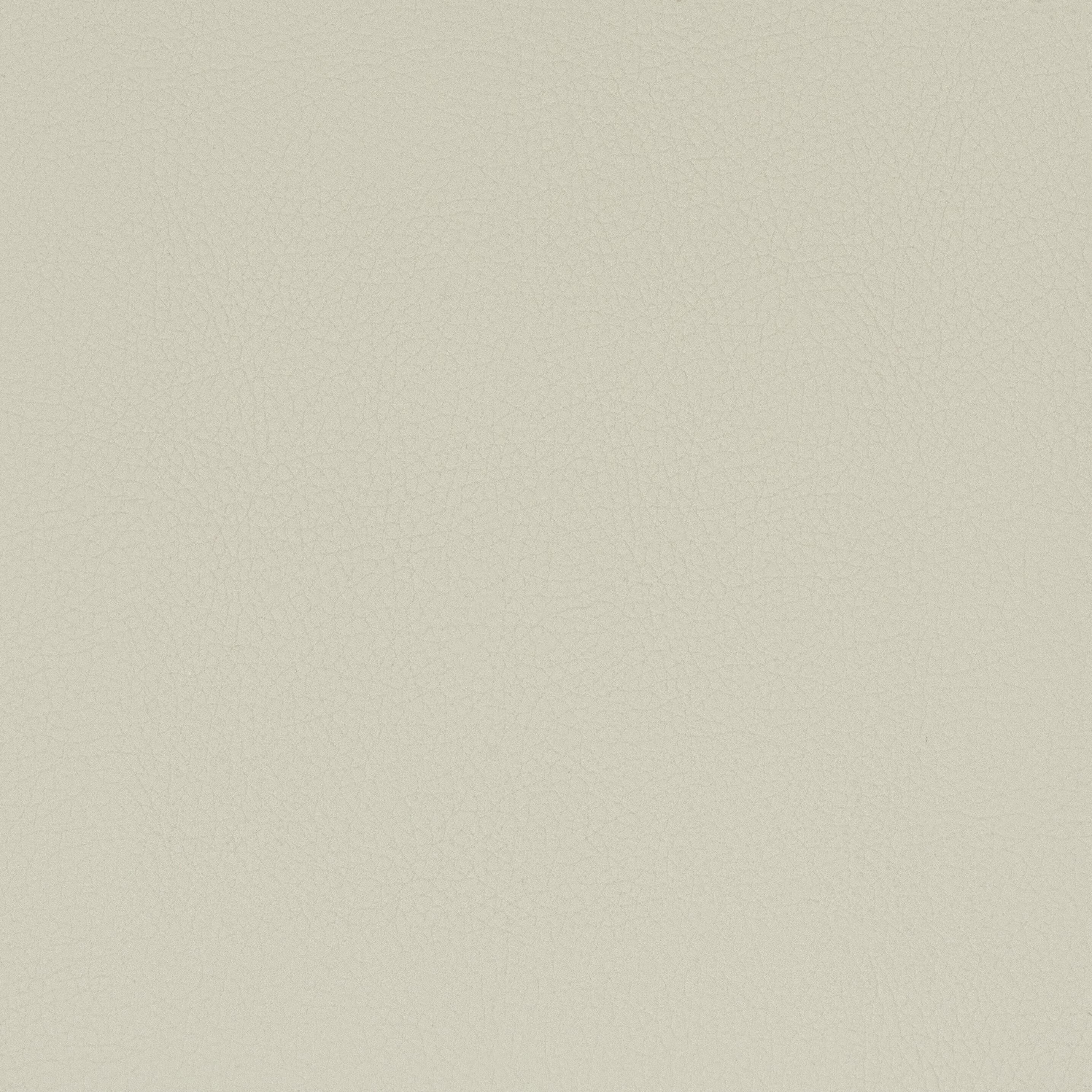 CLASSIC-5-CAMEL-STOUT-TEXTILES - Stout Textiles Fabric