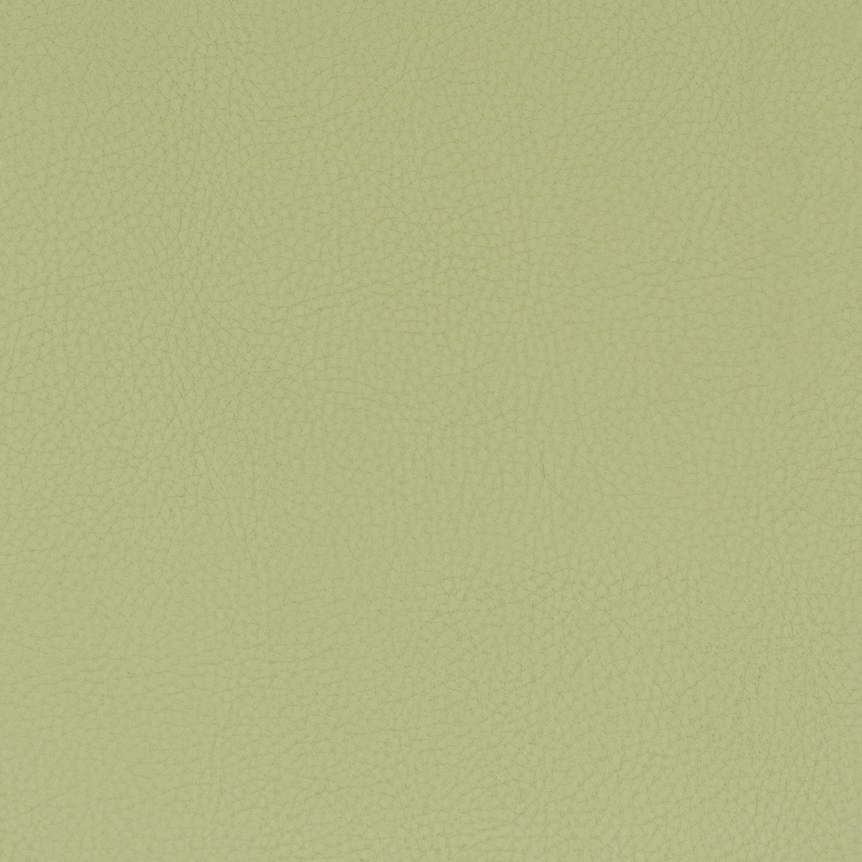 CLASSIC-8-PISTACHIO-STOUT-TEXTILES