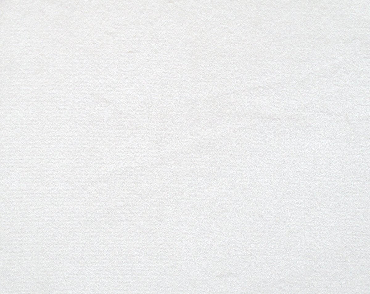 PEDRO AVORIO CL 36439 0001 by Colony Fabric - Scalamandre Fabric