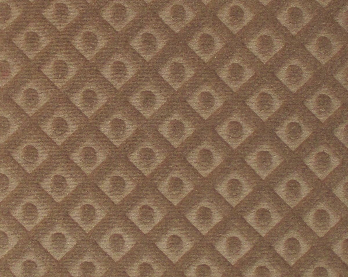ARGO TRELLIS TORTORA CL 36434 0005 by Colony Fabric