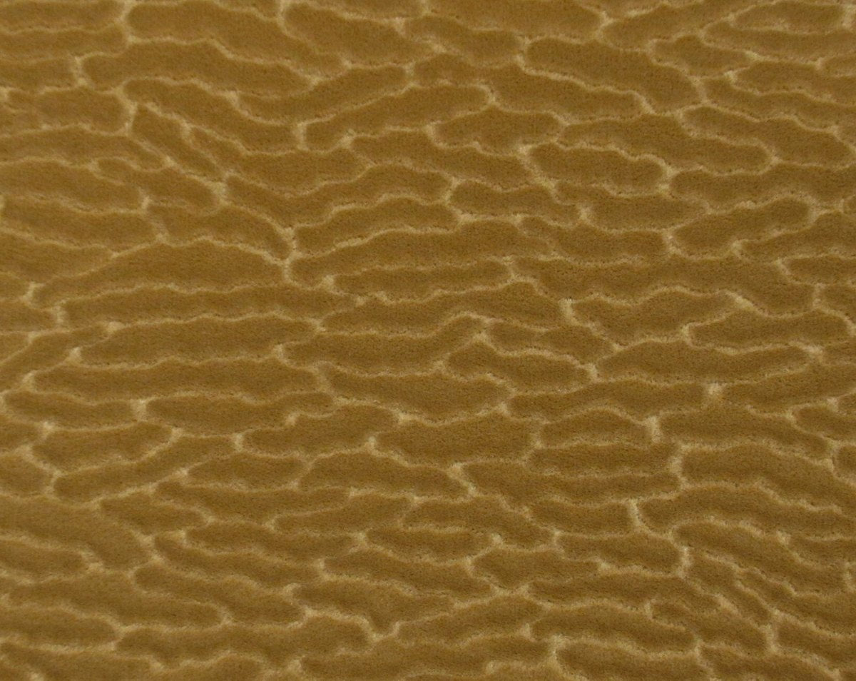 ERACLE GOFFRATO ORO CL 36407 0006 by Colony Fabric - Scalamandre Fabric