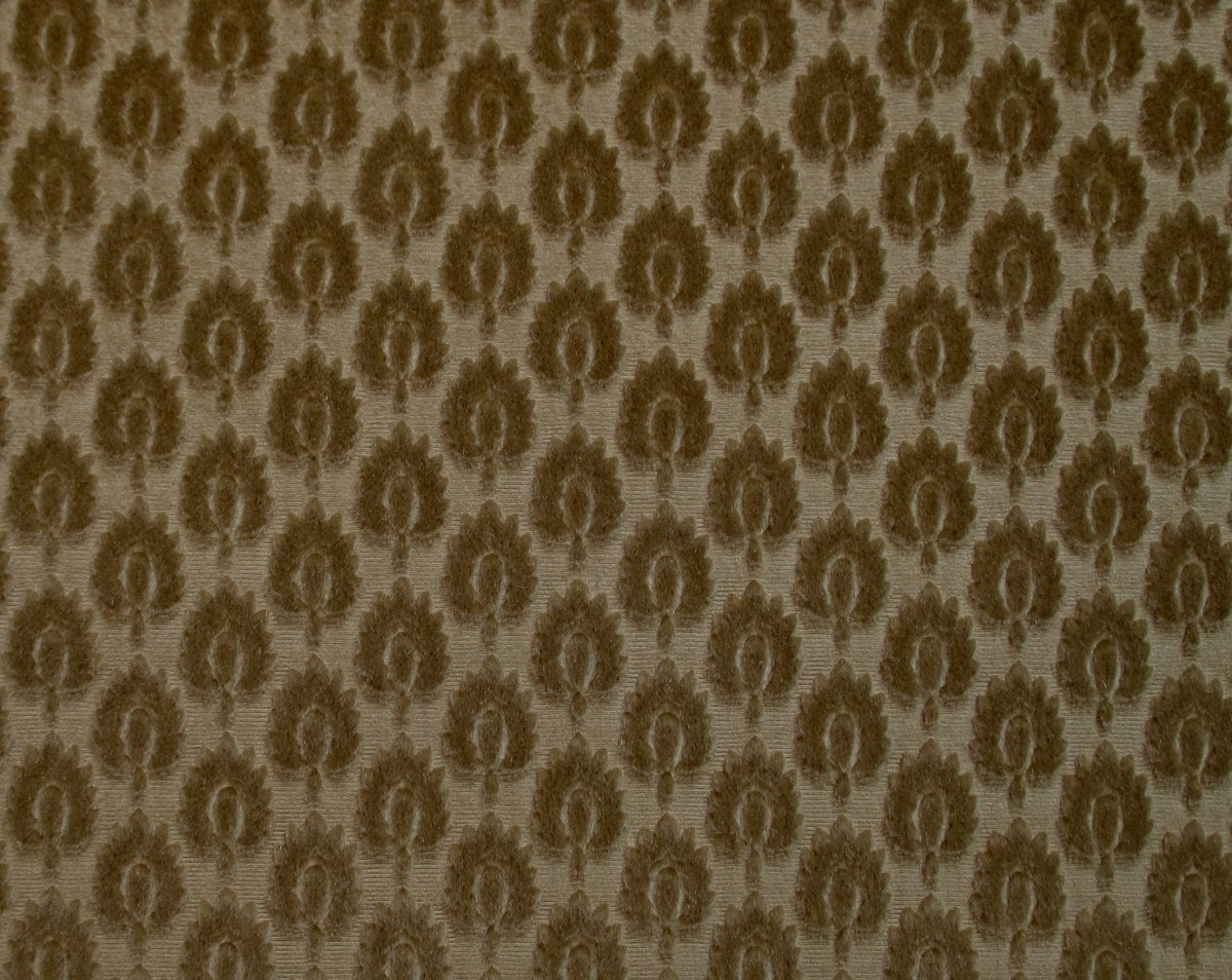 CANOVA SEMIS ORO CL 36424 0006 by Colony Fabric - Scalamandre Fabric