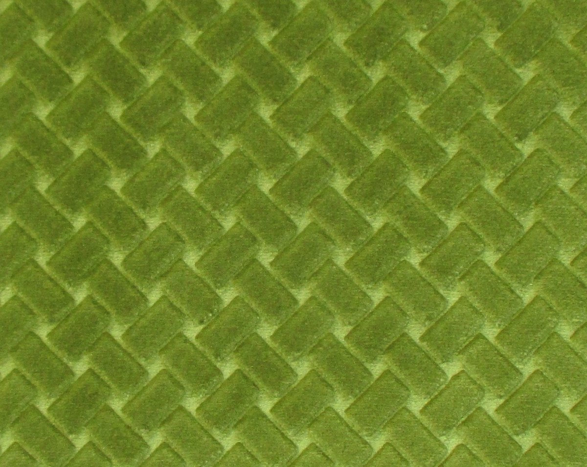 ARGO CANESTRINO MUSCHIO CL 36433 0024 by Colony Fabric