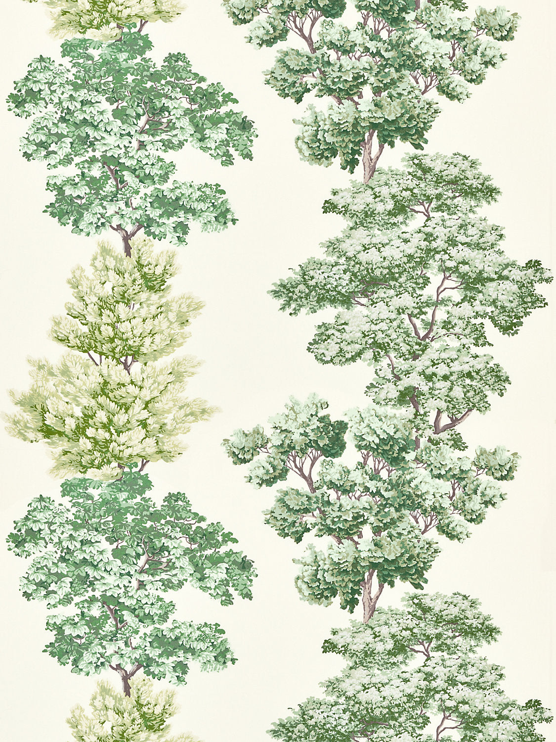 Central Park - Green - Scalamandre Fabric