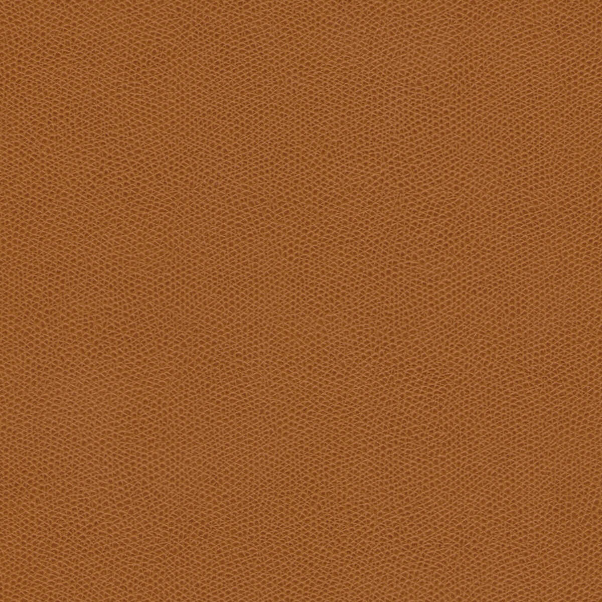 Kravet Design - Cured-6 - KRAVET DESIGN Tela