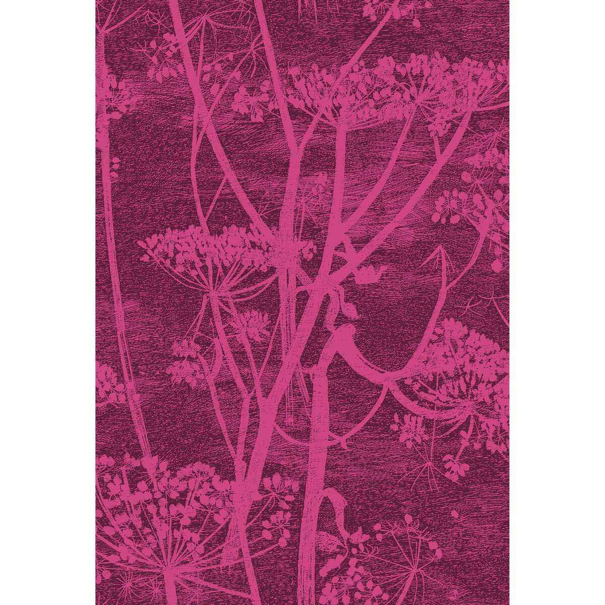 F1115017cs0 Cow Parsley Print Magenta Palm Cole Son Fabric - COLE & SON Fabric