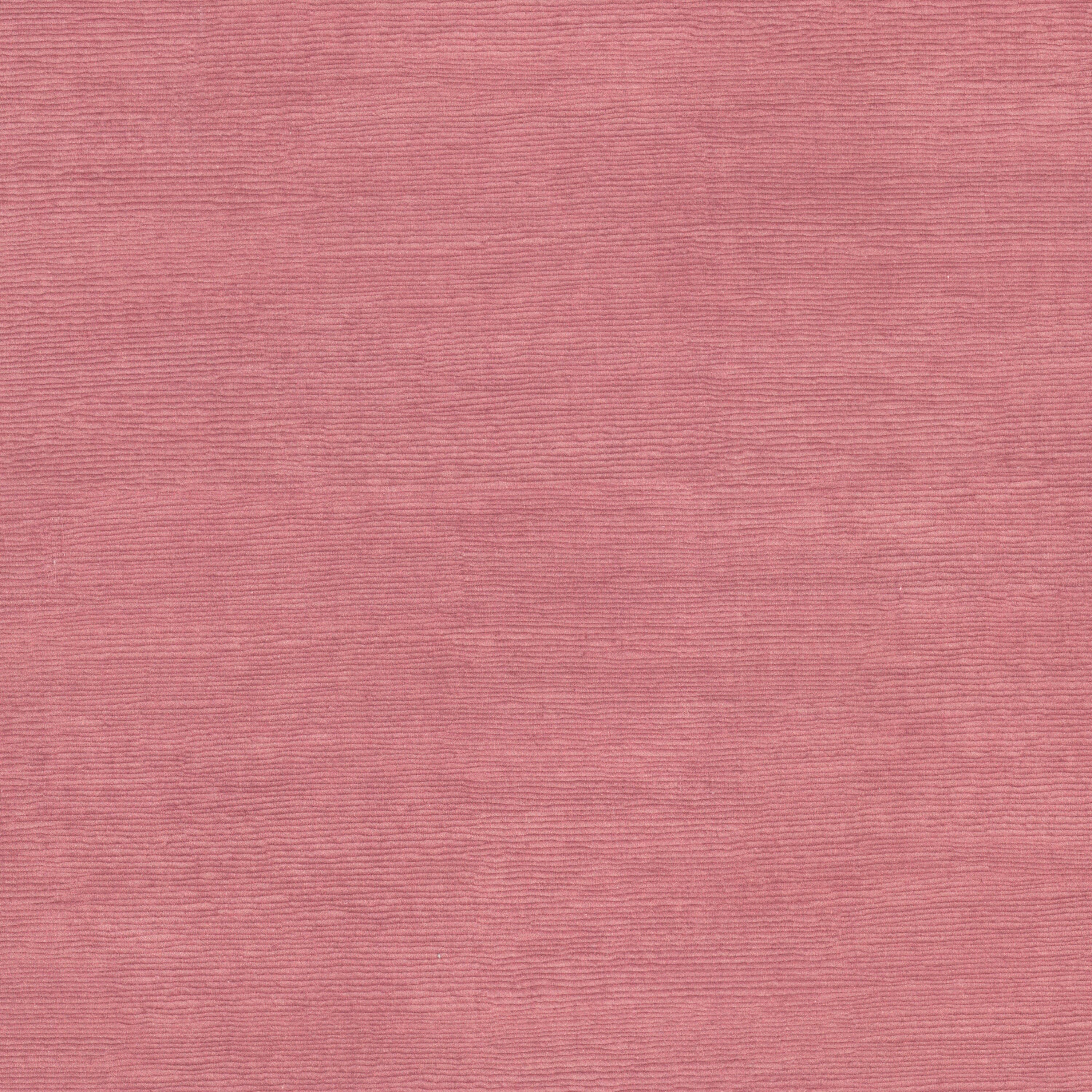 DANTE-1-PUNCH-STOUT-TEXTILES - Stout Textiles Fabric
