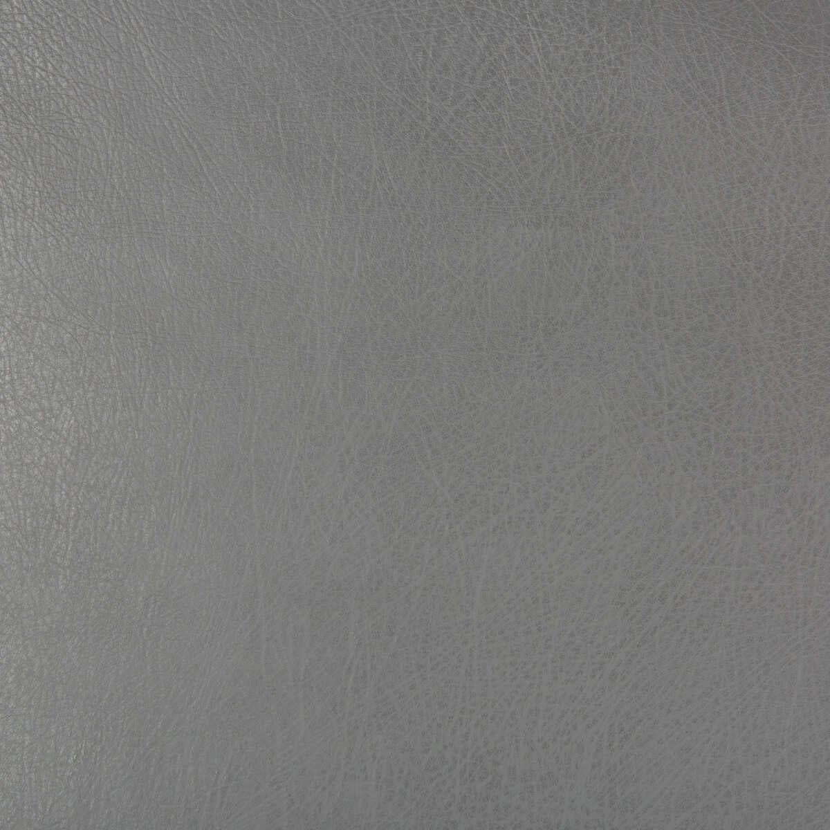 Kravet Design - Deimos-1121