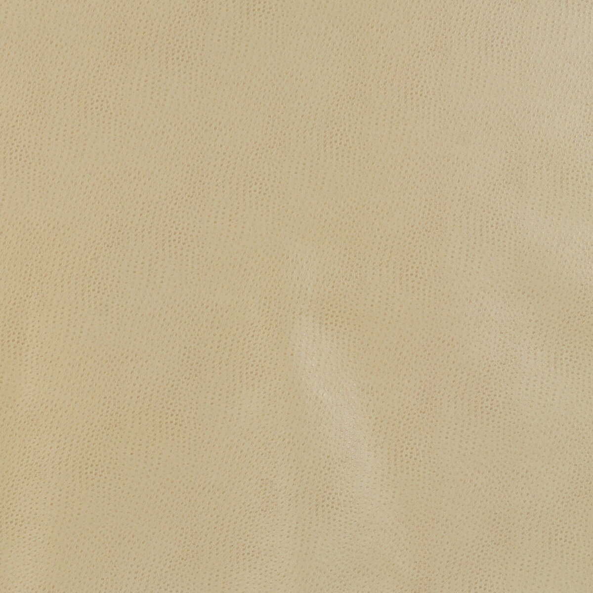 Kravet Design - Delaney-16 - KRAVET DESIGN Fabric