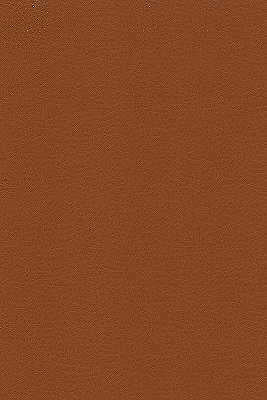 Kravet Design - Desire-606