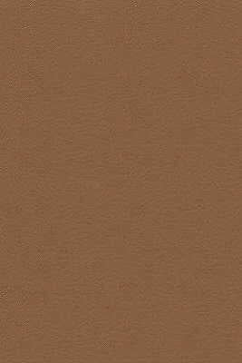 Kravet Design - Desire-616