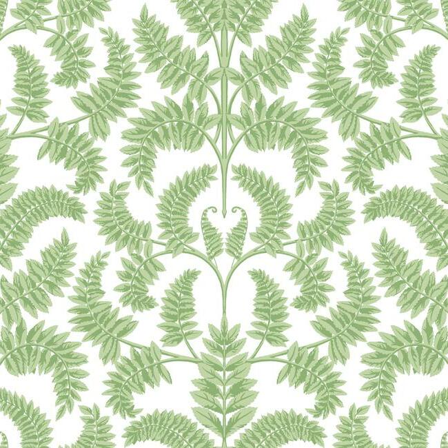 royal-fern-damask-wallpaper-green-york-wallcoverings-dm4961