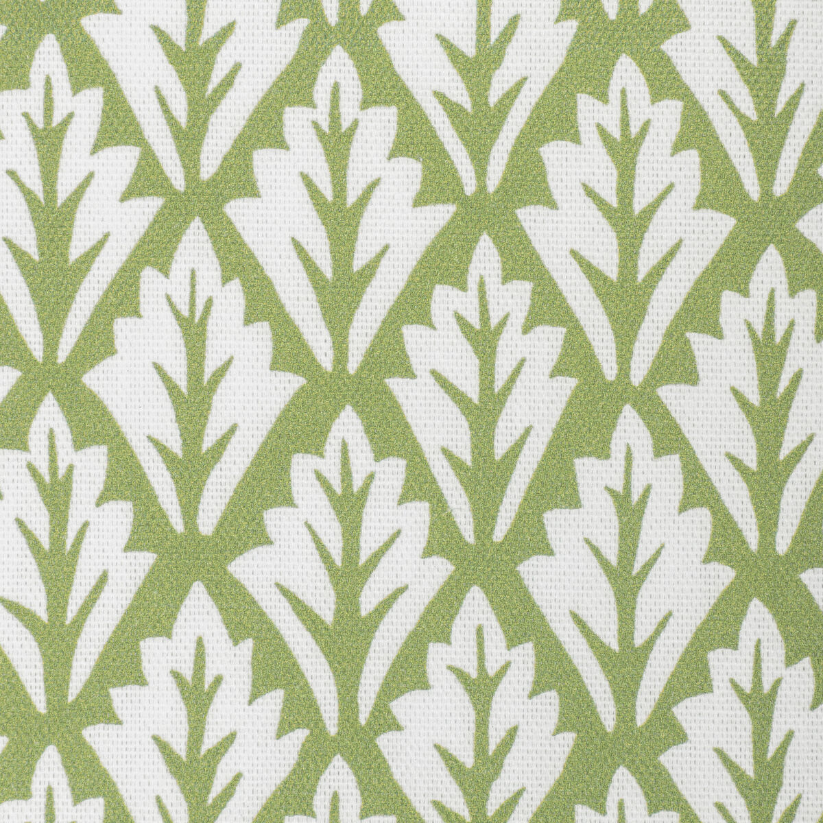 Dorso - Olive - Kravet Basics Fabric