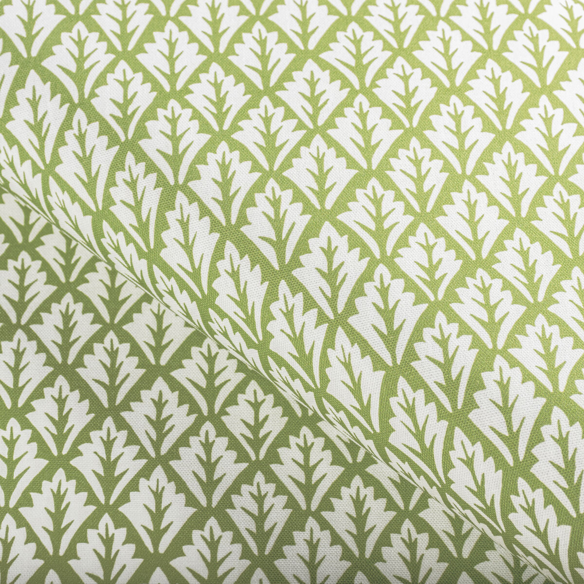 Dorso - Olive - Kravet Basics Fabric