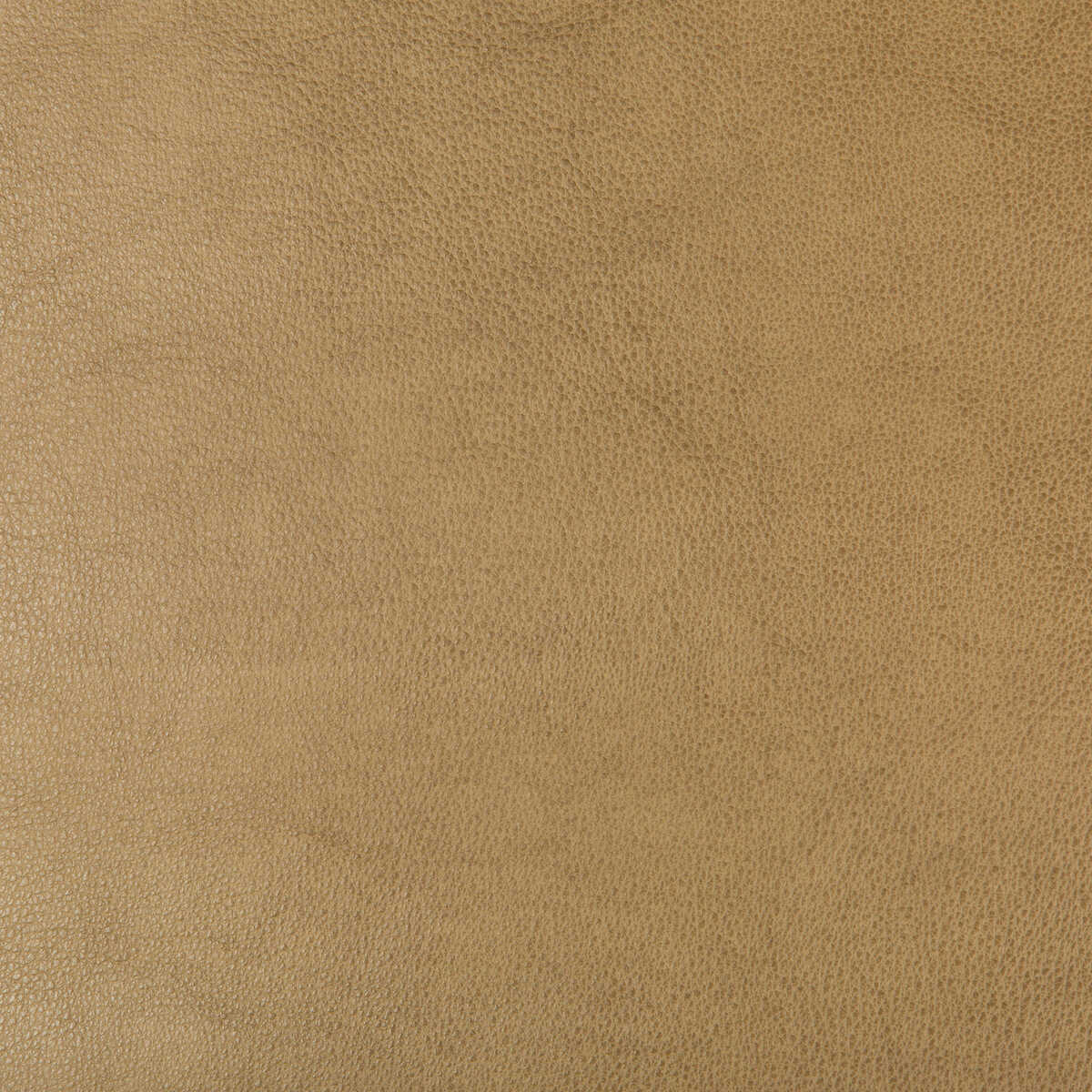 Kravet Design - Dust-106