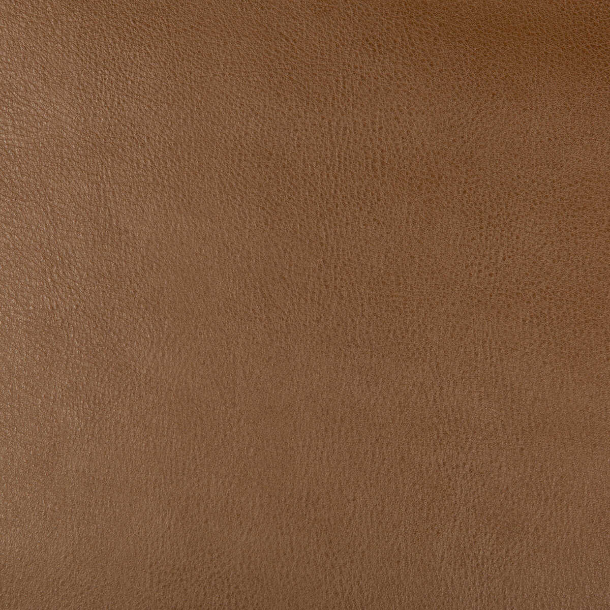 Kravet Design - Dust-6