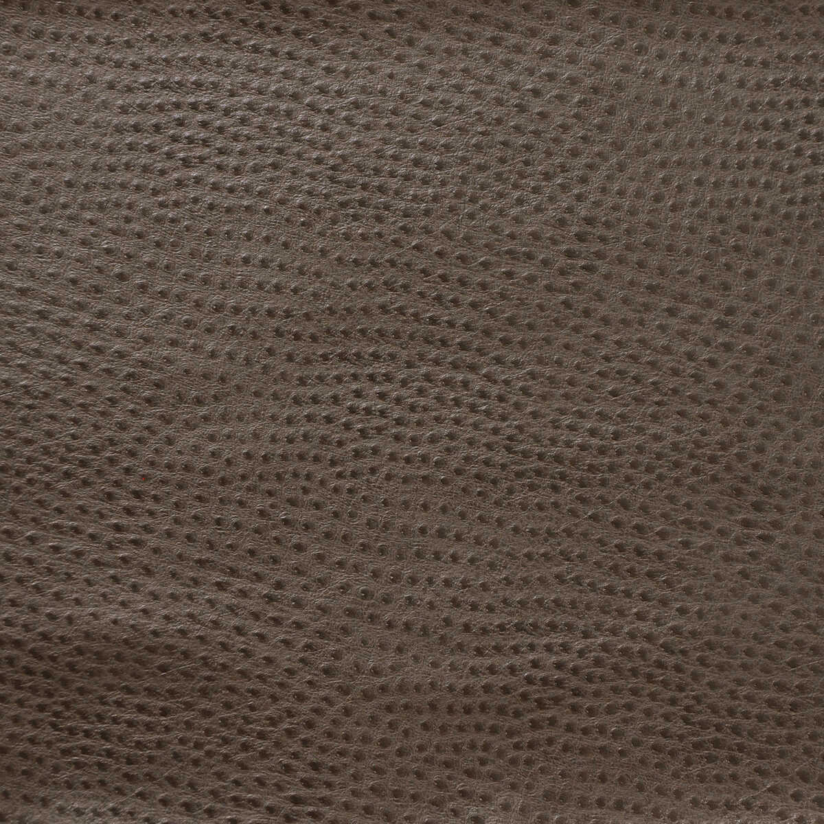 Kravet Design - Delaney-2121