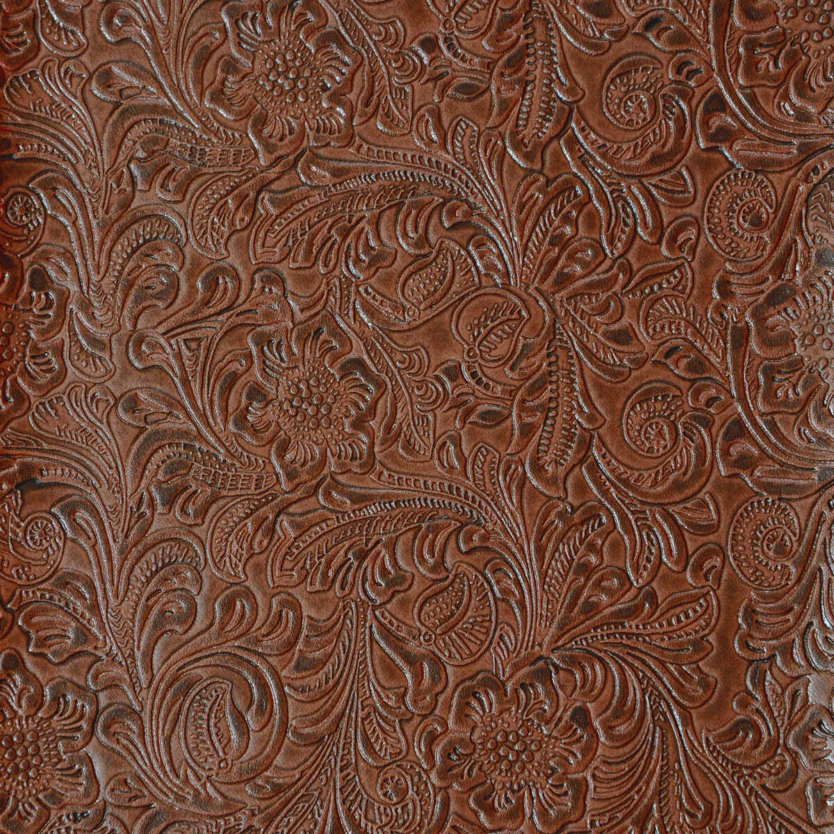 Kravet Design - Donahue-6666
