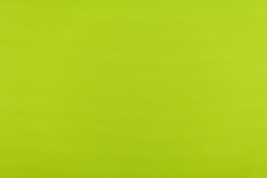 Reflecting Pool - Grass - Scalamandre Fabric