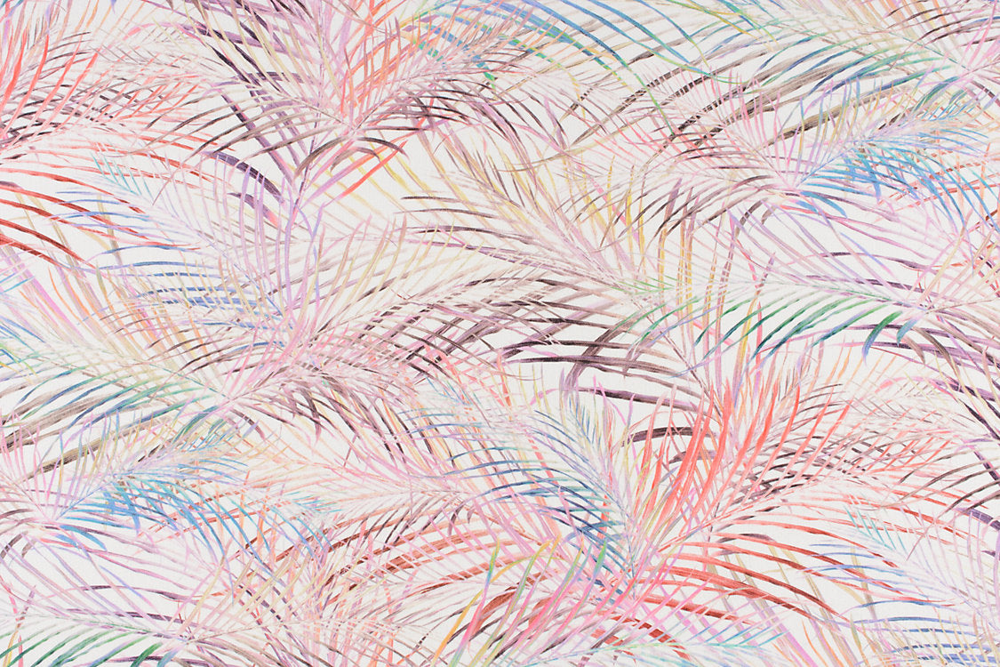 Palmitos - Coral Branch