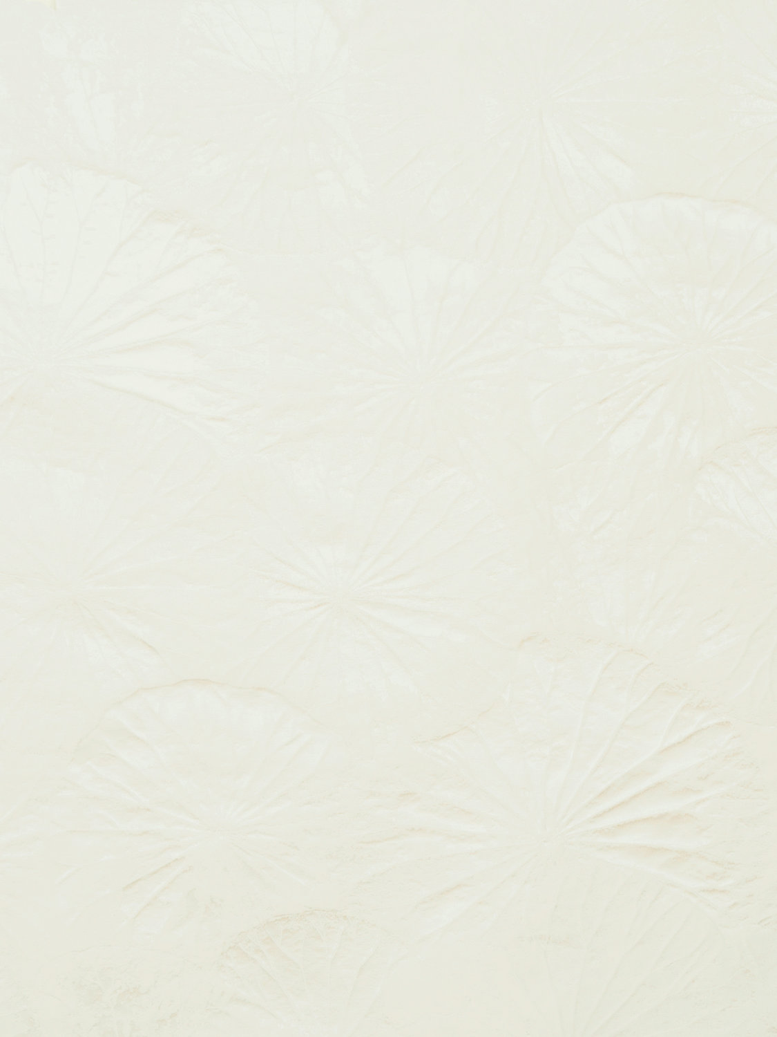 Lotus - Cream - Scalamandre Fabric
