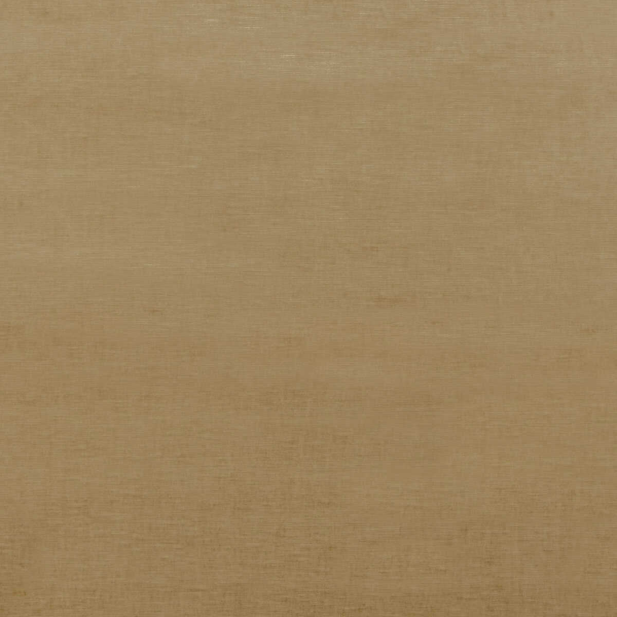 Meridian Velvet - Camel - THREADS Tela