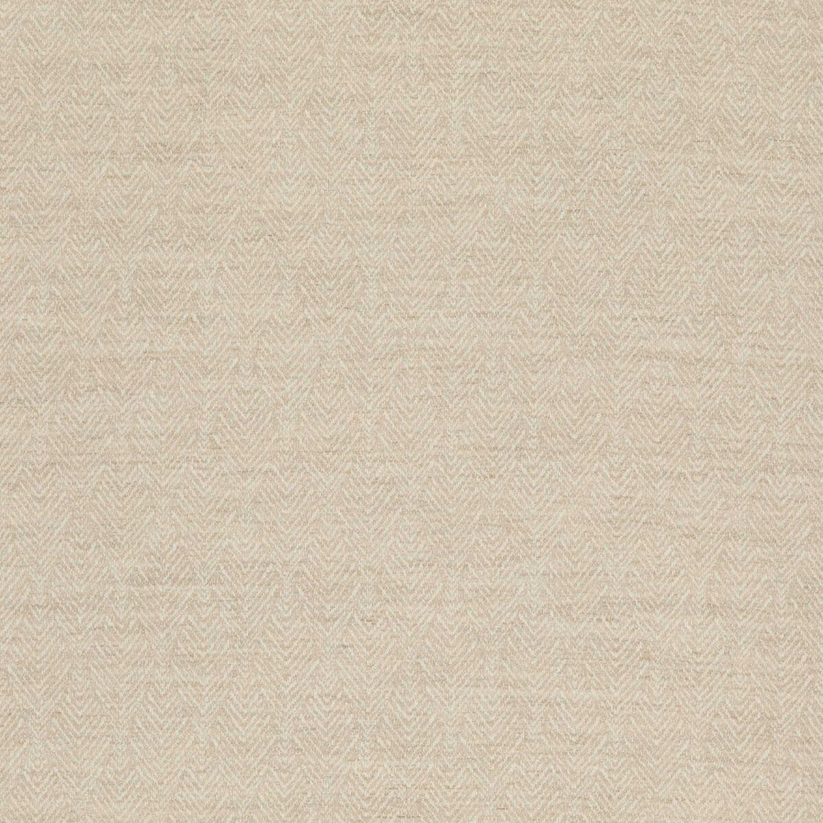 Capo - Taupe - THREADS Tela