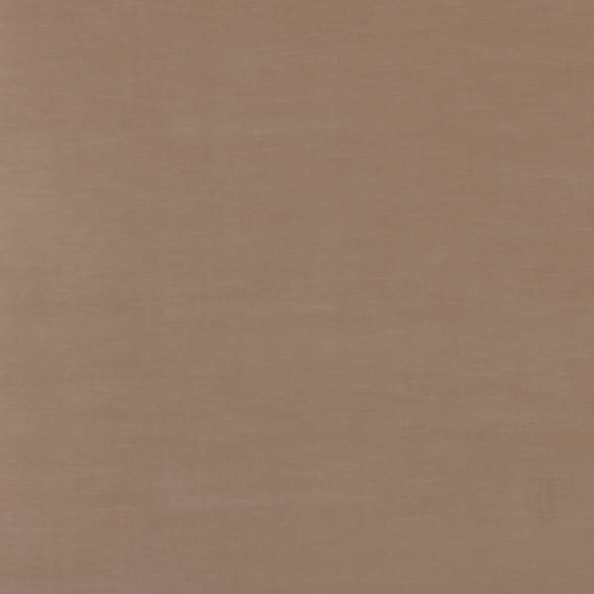 Quintessential Velvet - Nutmeg - THREADS Tela