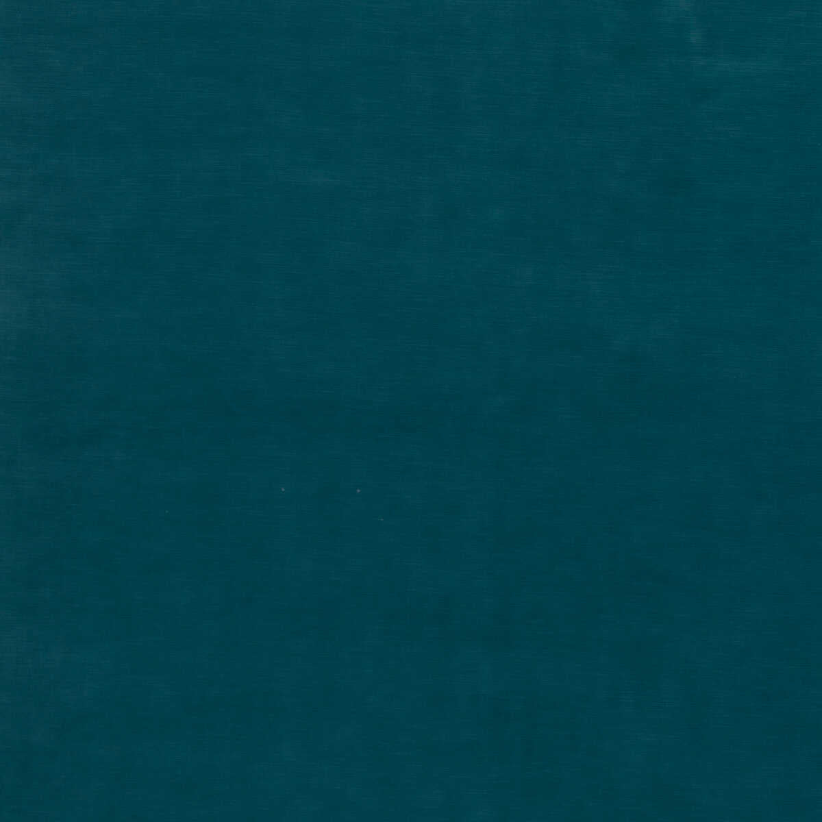 Quintessential Velvet - Kingfisher - THREADS Tela