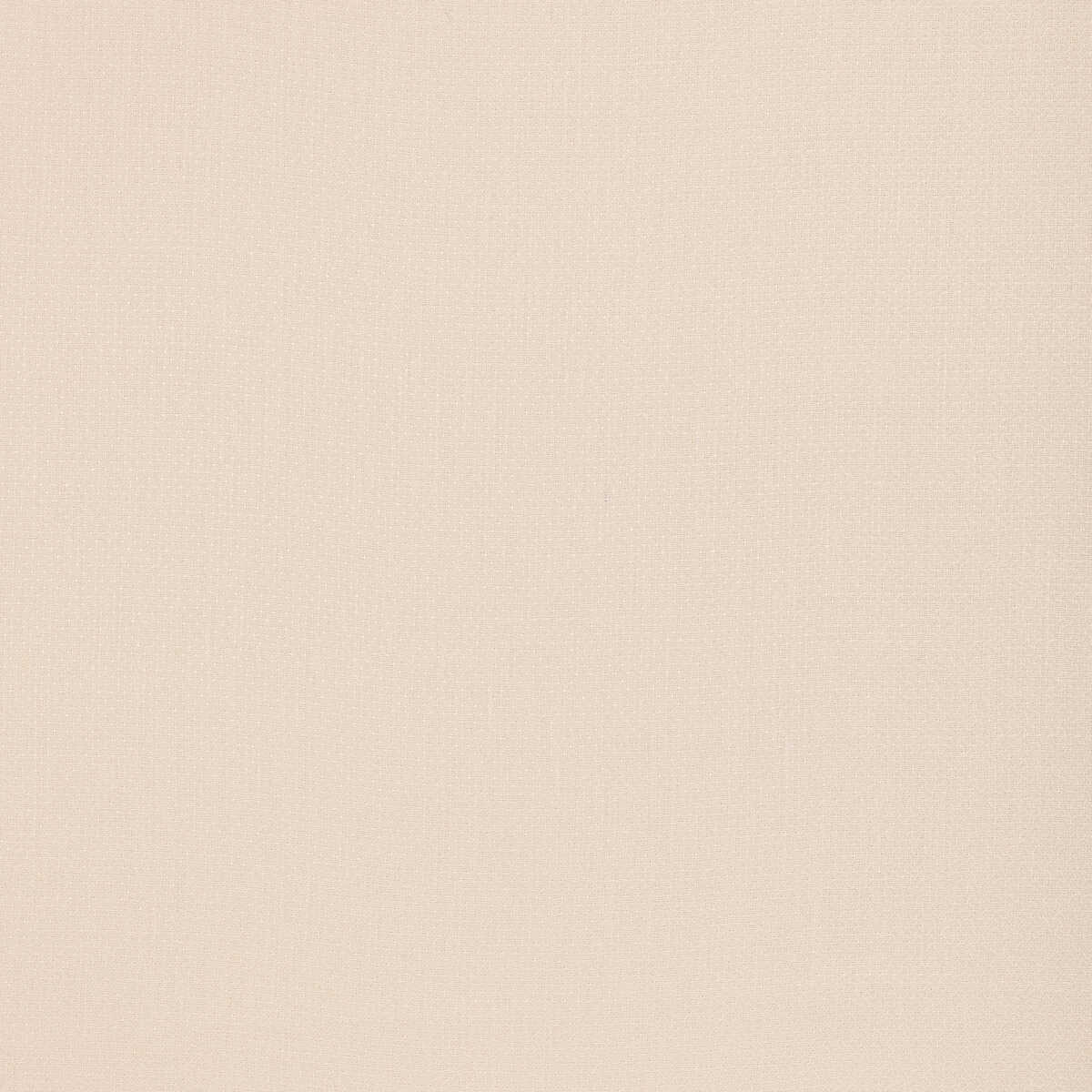 Strand - Ivory - THREADS Tela